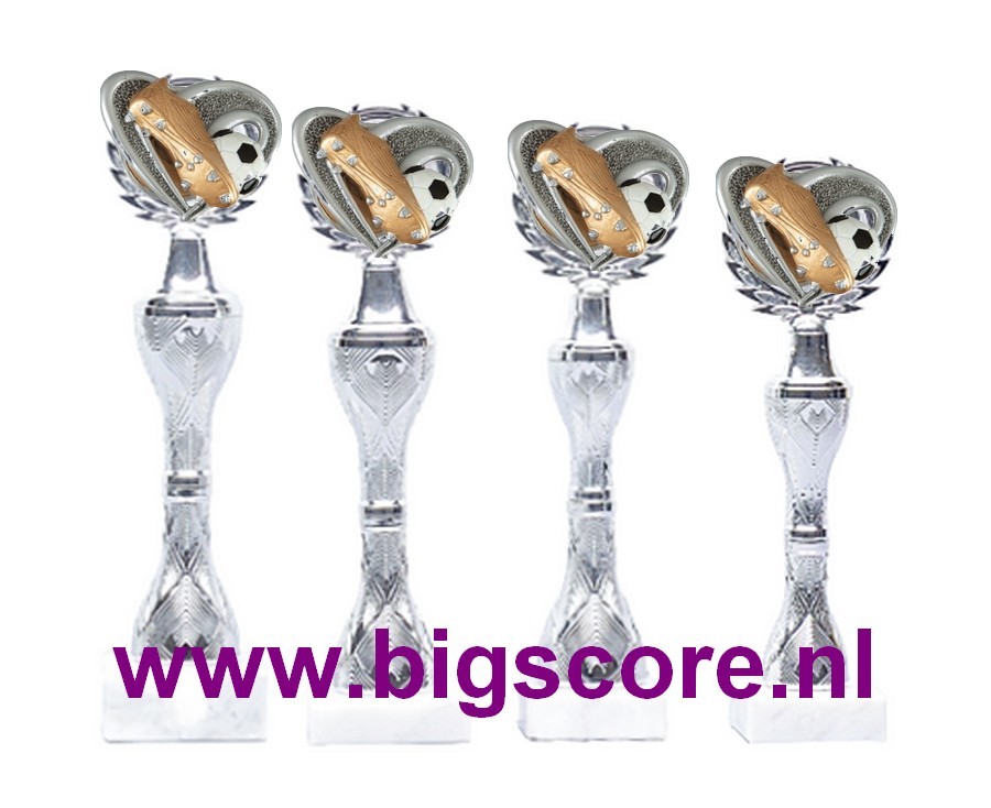 Voetbal beker Z 543 Zilver